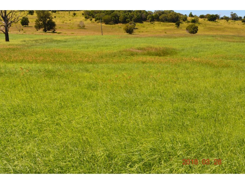 144 Cridlands Road, Abbeywood QLD 4613