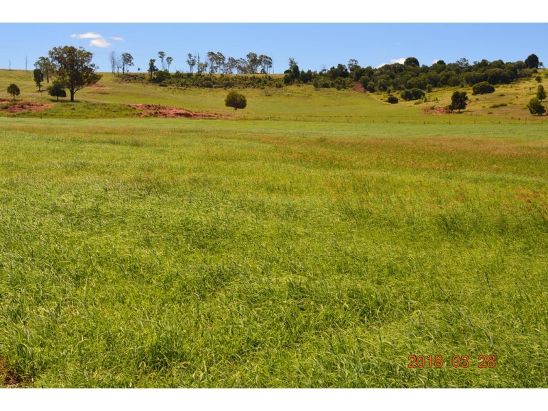 144 Cridlands Road, Abbeywood QLD 4613