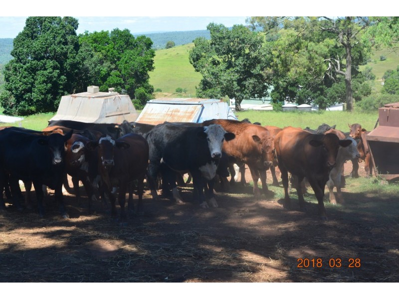 144 Cridlands Road, Abbeywood QLD 4613