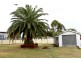 56 CARINYA STREET, Kingaroy QLD 4610