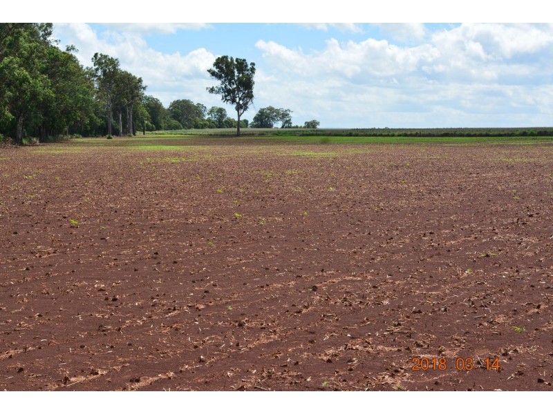 Wooroolin QLD 4608