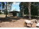 Kingaroy QLD 4610