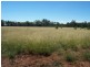 Wattle Grove QLD 4610