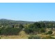298 Louttits Road, Glenrock QLD 4605