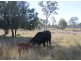 Lot 50 Mount Hope Road, Kingaroy QLD 4610