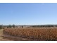 Kingaroy QLD 4610