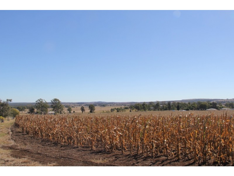 Kingaroy QLD 4610