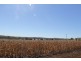 Kingaroy QLD 4610