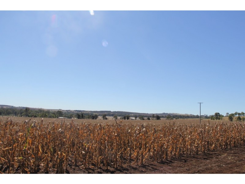 Kingaroy QLD 4610
