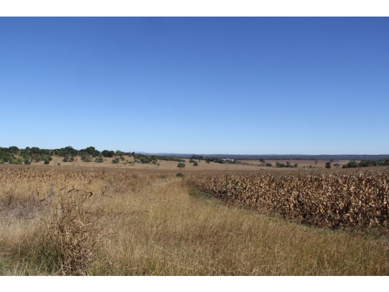 Kingaroy QLD 4610