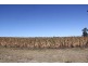 Kingaroy QLD 4610