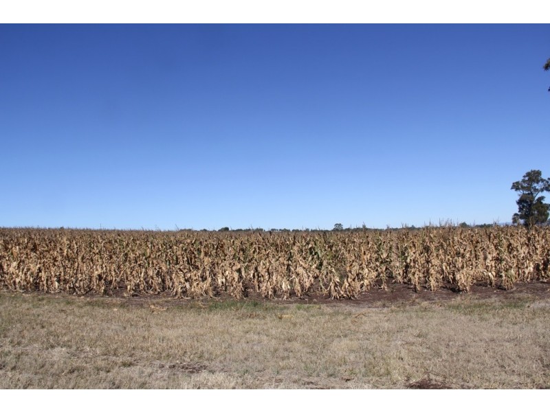 Kingaroy QLD 4610