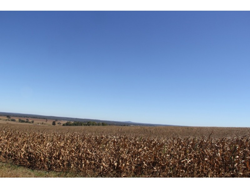Kingaroy QLD 4610