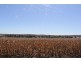 Kingaroy QLD 4610