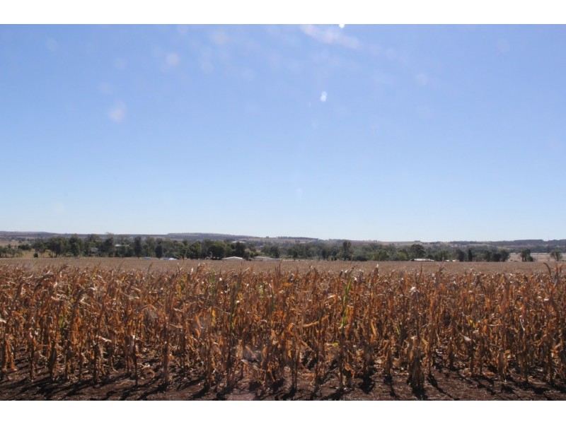 Kingaroy QLD 4610