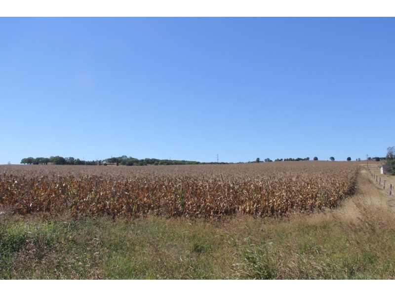 Kingaroy QLD 4610