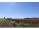 Kingaroy QLD 4610