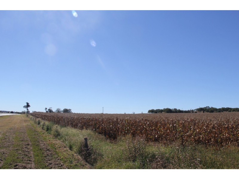 Kingaroy QLD 4610