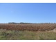 Kingaroy QLD 4610