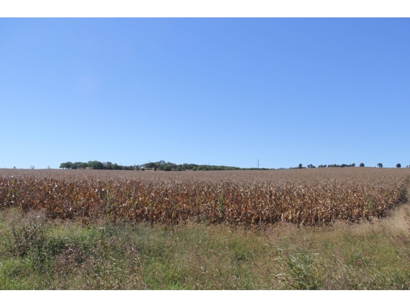 Kingaroy QLD 4610