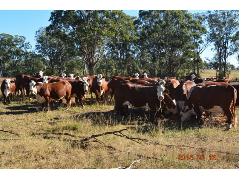 Wooroolin QLD 4608