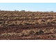 Wooroolin QLD 4608