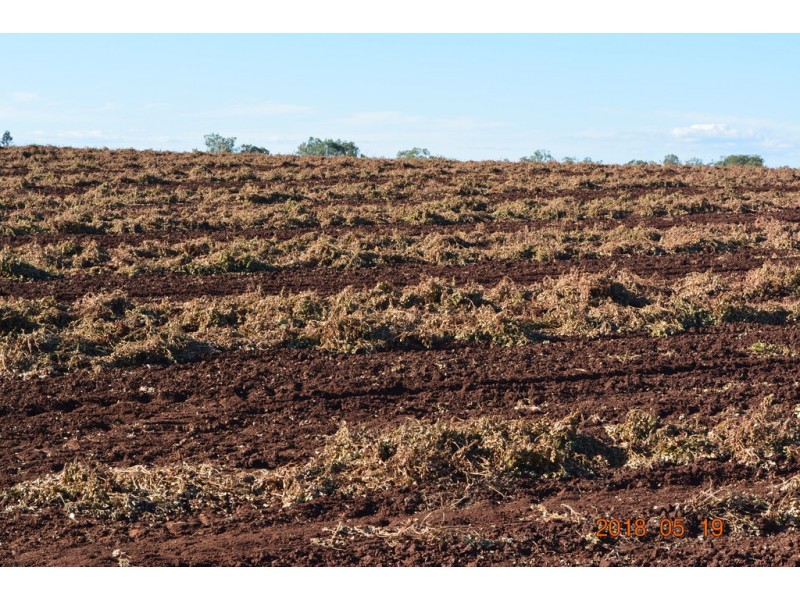 Wooroolin QLD 4608