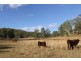 Cinnabar QLD 4600