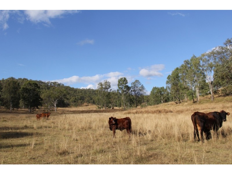 Cinnabar QLD 4600