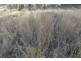 Cinnabar QLD 4600