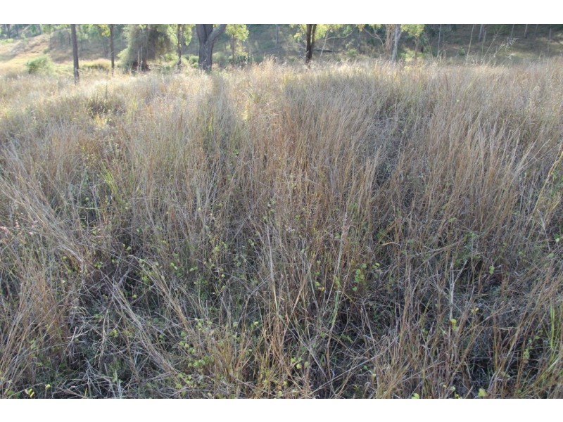 Cinnabar QLD 4600