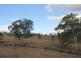 Cinnabar QLD 4600