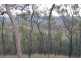 Cinnabar QLD 4600