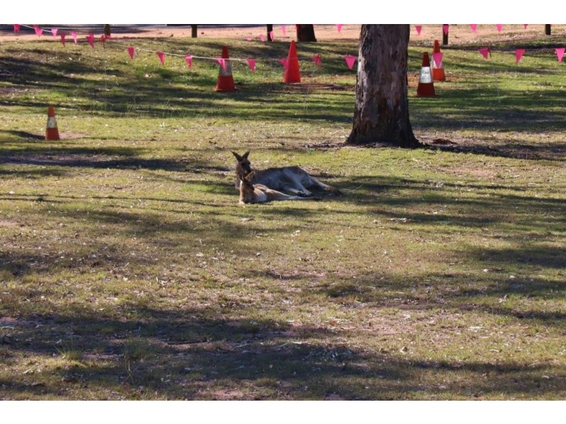 26 BOONDOOMA DAM LOOKOUT ROAD, Proston QLD 4613