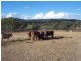 Nanango QLD 4615