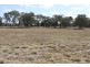 Kingaroy QLD 4610