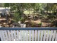 21 JELLICOE STREET, Proston QLD 4613
