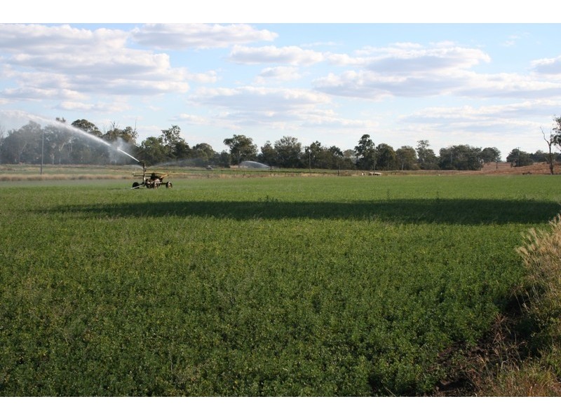 Kingaroy QLD 4610