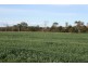 Kingaroy QLD 4610