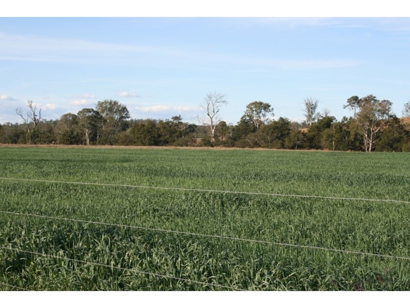 Kingaroy QLD 4610