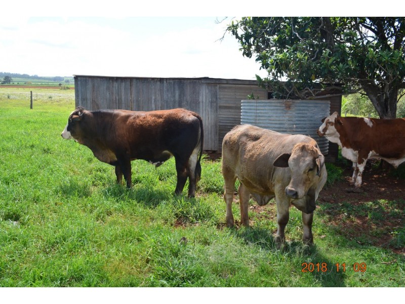 0 Gayndah Road, Barlil QLD 4605
