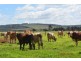 0 Gayndah Road, Barlil QLD 4605