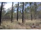 Wattle Camp QLD 4615