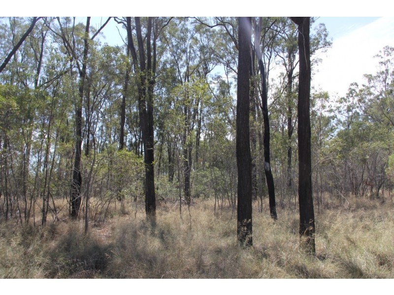 Wattle Camp QLD 4615