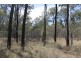 Wattle Camp QLD 4615