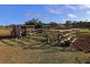 103 TINGOORA CHARLESTOWN ROAD, Tingoora QLD 4608