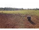 103 TINGOORA CHARLESTOWN ROAD, Tingoora QLD 4608