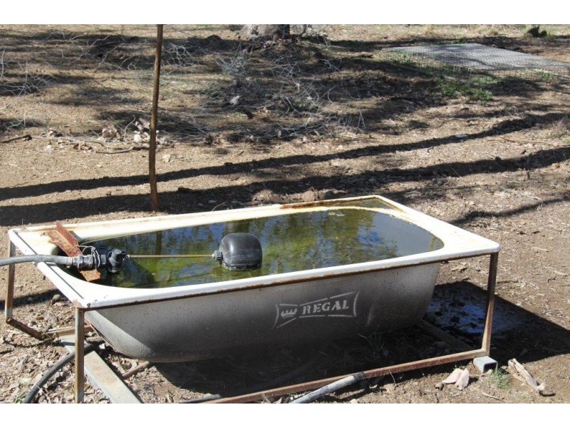 Wattle Camp QLD 4615