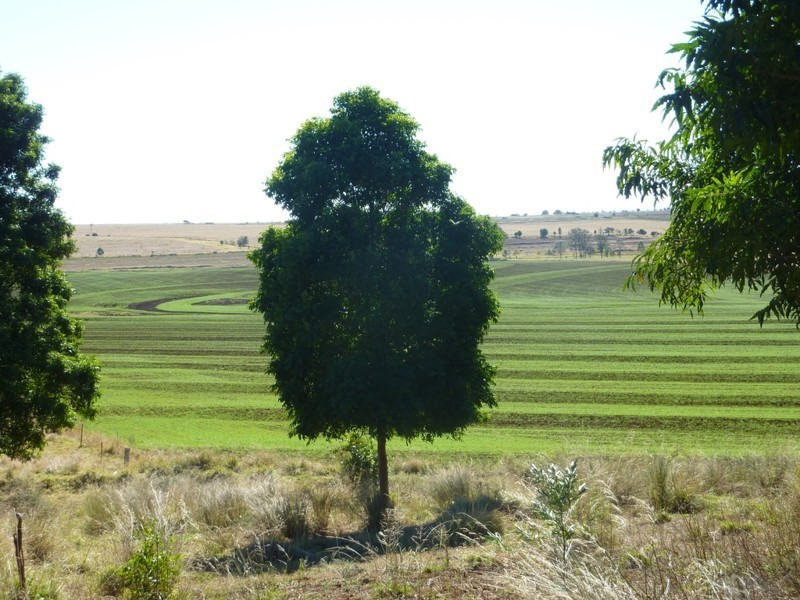 Kingaroy QLD 4610