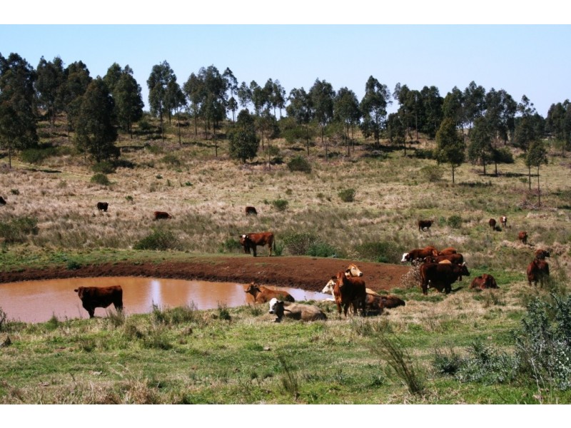 Kingaroy QLD 4610